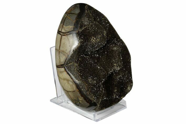 Septarian Dragon Egg Geode - Black Crystals #177415